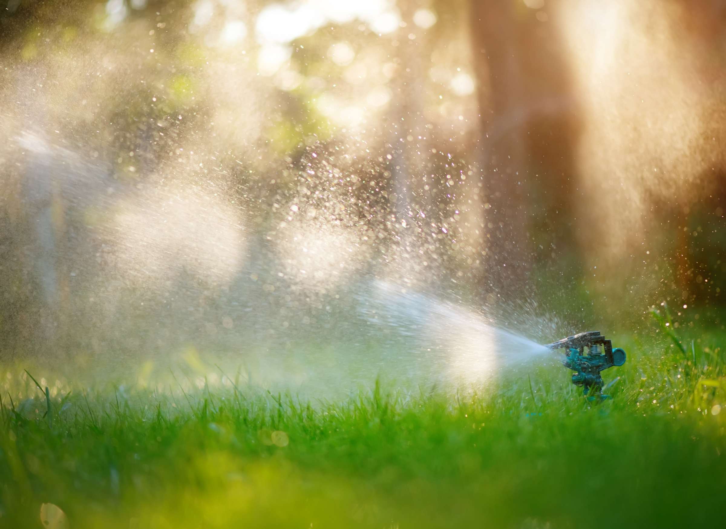 Servicios Jardinería Sostenible